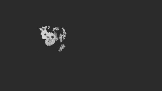 924721 (a): :1920x1080